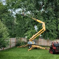 Best Grass Overseeding  in Buckley, WA