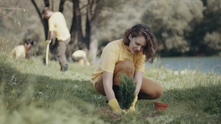 Best Lawn Pest Prevention  in Buckley, WA