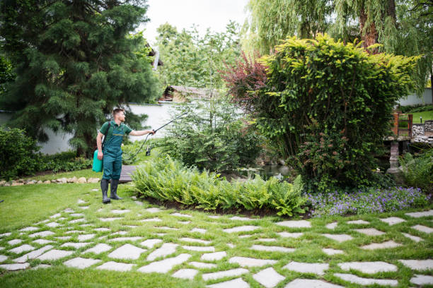 Best Fruit Tree Pruning  in Buckley, WA