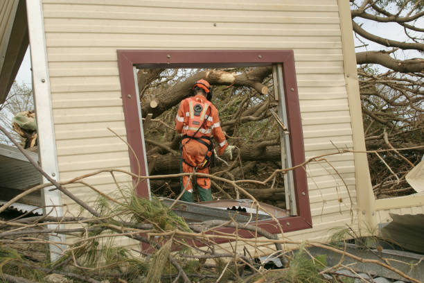 Best Seasonal Cleanup (Spring/Fall)  in Buckley, WA